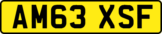 AM63XSF