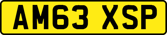 AM63XSP
