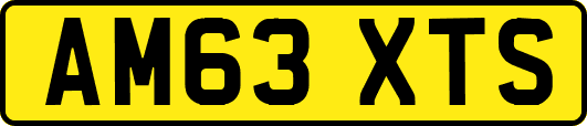 AM63XTS