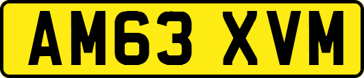 AM63XVM