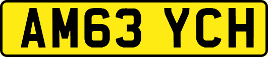 AM63YCH