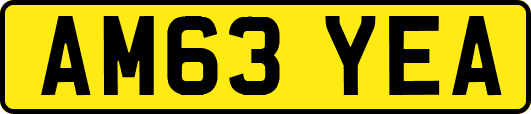 AM63YEA