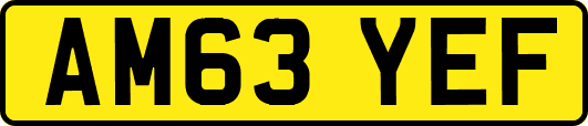 AM63YEF