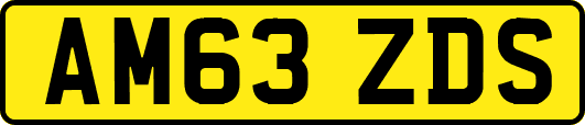 AM63ZDS