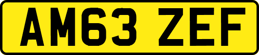 AM63ZEF
