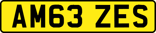 AM63ZES