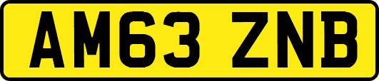 AM63ZNB