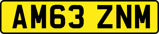 AM63ZNM