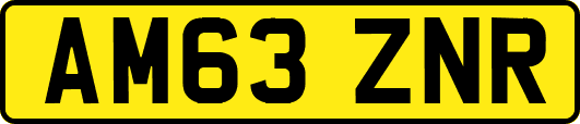 AM63ZNR