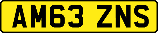 AM63ZNS
