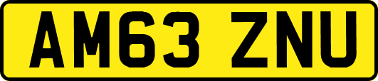 AM63ZNU