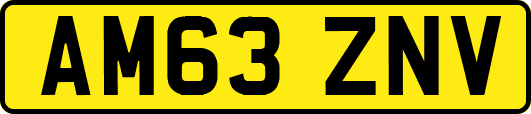 AM63ZNV