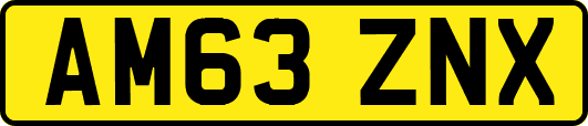 AM63ZNX