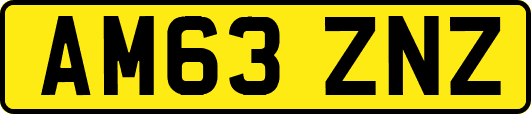 AM63ZNZ