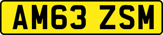 AM63ZSM