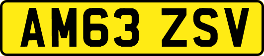 AM63ZSV