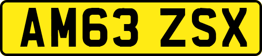 AM63ZSX