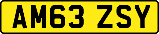 AM63ZSY