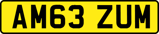 AM63ZUM