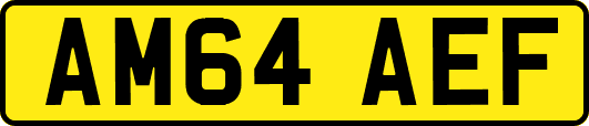 AM64AEF