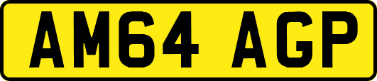 AM64AGP