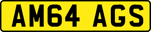 AM64AGS