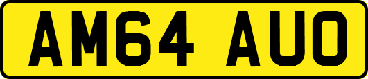 AM64AUO