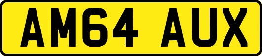 AM64AUX