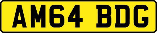 AM64BDG