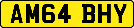 AM64BHY