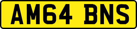AM64BNS