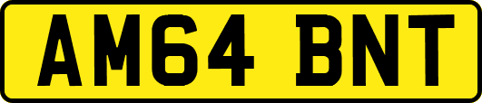 AM64BNT
