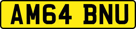 AM64BNU