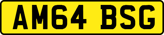 AM64BSG