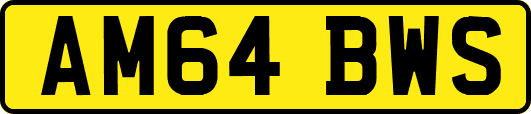 AM64BWS