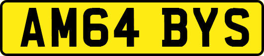 AM64BYS