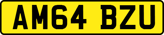 AM64BZU