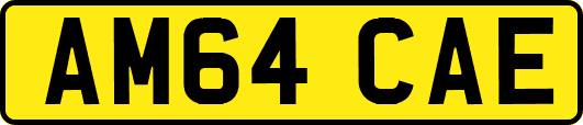 AM64CAE