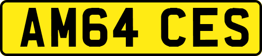 AM64CES