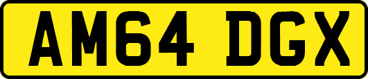 AM64DGX