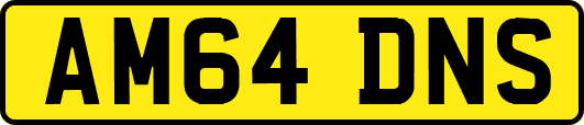 AM64DNS