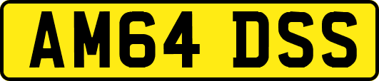 AM64DSS