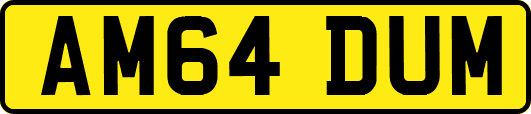 AM64DUM