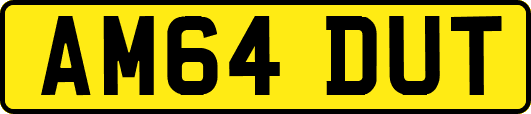 AM64DUT
