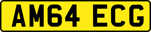 AM64ECG