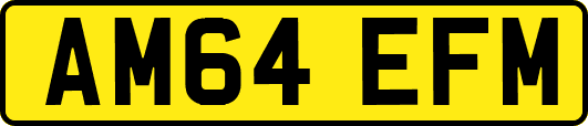 AM64EFM