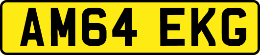 AM64EKG
