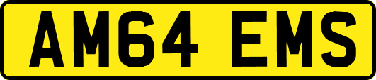 AM64EMS