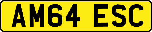 AM64ESC