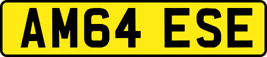 AM64ESE